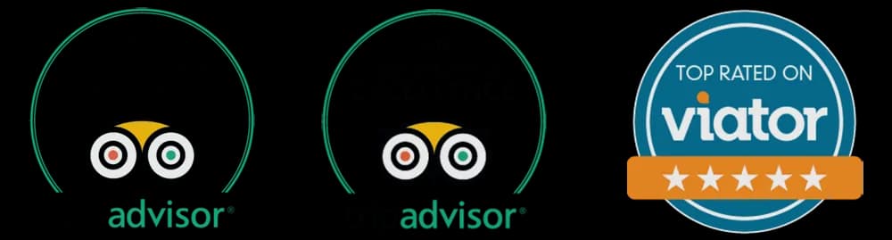 TripAdvisor Certificate of Excellence and Viator Top Rated badges
